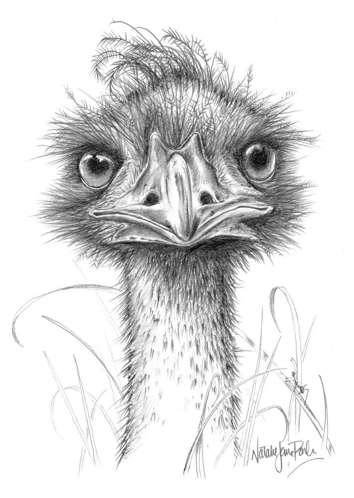 Mdawmdawmdawmdaw7qgraepd6cacehr zcfbfywxu2fyveayeunrgwctqqqltnerwweter6yomfiojy24adow ljj7f22f2vd2s3k0fn 38ezqodftc2xeuhdjufahdziomokxodj3hs jg da6ji5eudq olwagpj5emn5se26gbdljbgkpagni sfwqdxiof8hqtjqvpaqrooemmmui7vdwkww9kwvskevmsdshfosieuiruwz4ab9pe8x58fqvtqeh784cosrhhq3z5bjap0qdzsu8ginzif4ekwhkojrgidznhr6g5n0thipsslhva