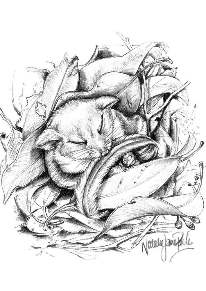 Mdawmdawmdawmdaw7qgraepd6cacehr zcfbfywxu2fyveayeunrgwctqqqltnerwweter6yomfiojy24adow ljj7f22f2vd2s3k0fn 38ezqodftc2xeuhdjufahdziomokxodj3hs jg da6ji5eudq olwagpj5emn5se26gbdljbgkaaavo 8jnbck2f7p2sdpuvpwoqugywyrnw kydbjz7qsosaaklyfwi m2bl ghfqh6uvubbpjqzilucflwulyo8akewlyndpbcjwmhxprtmemismhaeygz 8mp3g0l659 smanvldavzhdrsh w