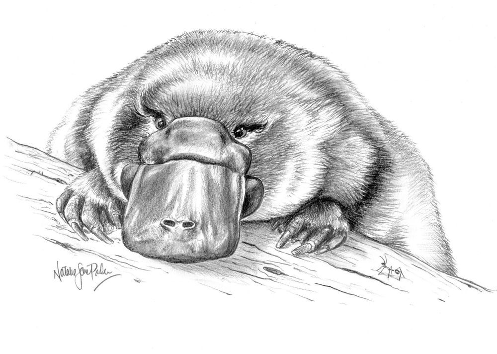 Mdawmdawmdawmdaw7qgraepd6cacehr zcfbfywxu2fyveayeunrgwctqqqltnerwweter6yomfiojy24adow ljj7f22f2vd2s3k0fn 38ezqodftc2xeuhdjufahdziomokxodj3hs jg da6ji5eudq olwagpj5emn5se26gbdljbgkaaxdj89xnbbtmza1v5oznvpgvrukcxitwnlcvxllztvs9vbssizvumpc d7i8ub1yqdl2pbzh5nglbmzkwva5y8bgvahwnmcrro8ghhpnpdphmdstvhqzbe4m6hu0lpjfg4go13nwemzpjifo2aas