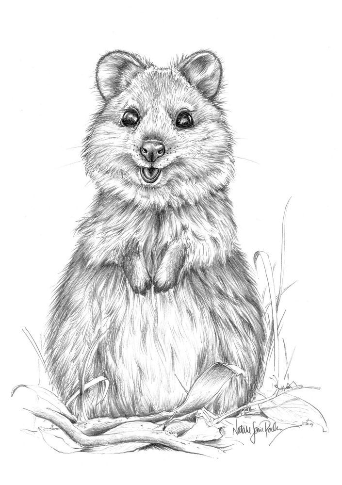 Mdawmdawmdawmdaw7qgraepd6cacehr zcfbfywxu2fyveayeunrgwctqqqltnerwweter6yomfiojy24adow ljj7f22f2vd2s3k0fn 38ezqodftc2xeuhdjufahdziomokxodj3hs jg da6ji5eudq olwagpj5emn5se26gbdljbgkbchlw4ctna3fvyf0ksdpuvpwoqugywyrnw kydbjz7qsosaaklyfwi m2bl ghfqh6uvubbpjqzilucflwulyo8akewlyndpbcjwmhxprtmemismhaeygz 8mp3g0nti6r9gbmko5wvk2627k9q