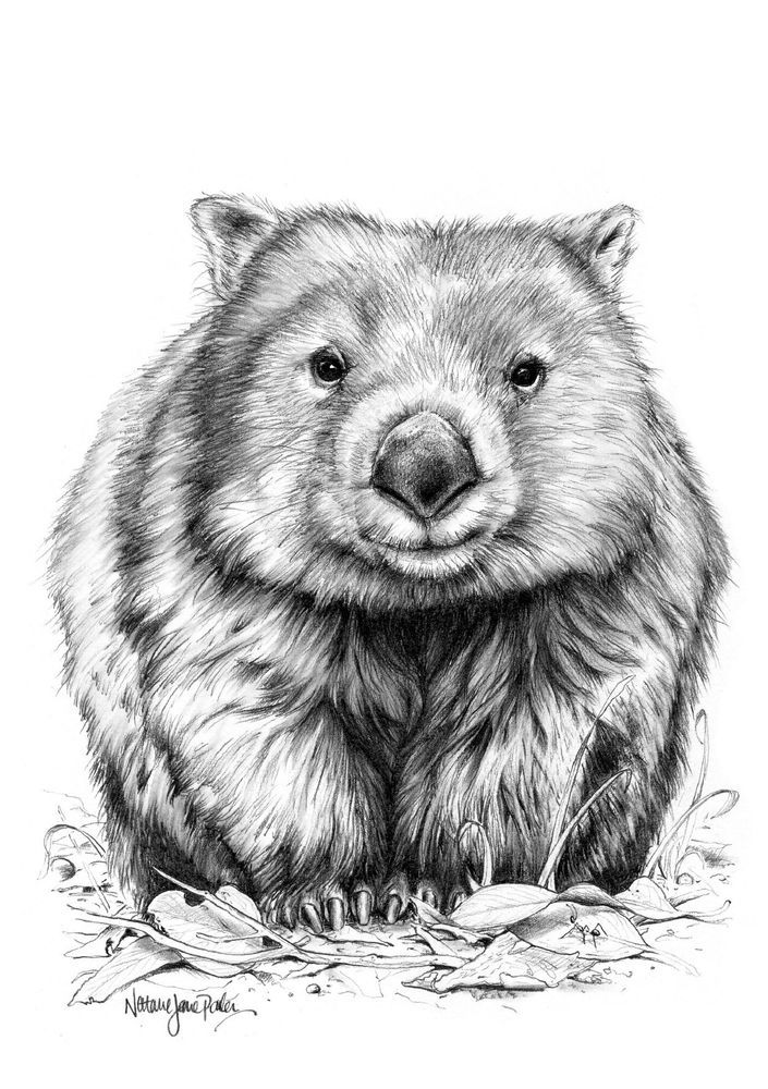 Mdawmdawmdawmdaw7qgraepd6cacehr zcfbfywxu2fyveayeunrgwctqqqltnerwweter6yomfiojy24adow ljj7f22f2vd2s3k0fn 38ezqodftc2xeuhdjufahdziomokxodj3hs jg da6ji5eudq olwagpj5emn5se26gbdljbgkdabtf69hndtzndb9msdpuuf6sre4ewodnw kydbjz7qsosaaklyfwi m2bl ghfqh6uvubbpjqzilucflwulyo8akewlyndpbcjwmhxprtmemismhaeygz 8mp3g0tq0lzkhr1mlnddplofim6g