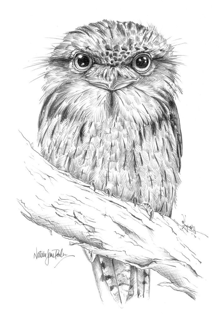 Mdawmdawmdawmdaw7qgraepd6cacehr zcfbfywxu2fyveayeunrgwctqqqltnerwweter6yomfiojy24adow ljj7f22f2vd2s3k0fn 38ezqodftc2xeuhdjufahdziomokxodj3hs jg da6ji5eudq olwagpj5emn5se26gbdljbgkezgft8 rxhcxwery4r91tv goquctxj0j2f5dahwl6lenvlotij5anvswbalxbdubsar ckuxsyprvspp3798nyophwd9gyxda50mhw f438bmtxrge0hz 9rh1jnkpha5ove1t9yc8c7zjbz