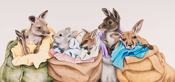 Kangaroo and Wallaby joeys in Pouches. Eastern grey kangaroo (Macropus giganteus), Red-necked wallaby (Macropus rufogriseus), Western grey kangaroo (Macropus fuliginosus) & Red kangaroo (Macropus rufus) Australian Wildlife Art by Natalie Jane Parker