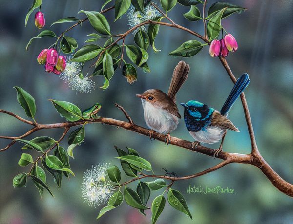 Wrens