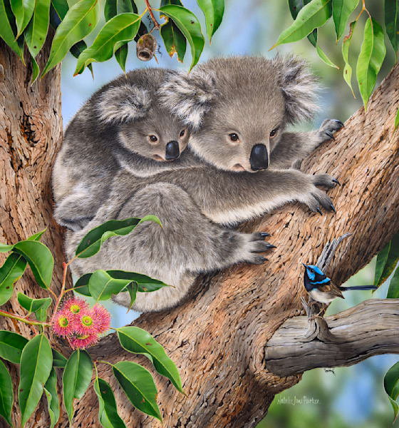 Koala (Phascolarctos cinereus) with her joey and a male Superb Fairy-wren (Malurus cyaneus) Australian Wildlife Art by Natalie Jane Parker