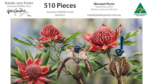 Waratahs Picnic – Superb Fairy-wrens Panorama Jigsaw (510-Piece)