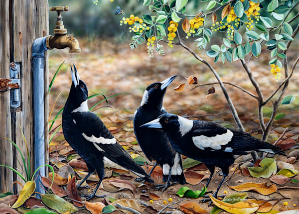 Australian Magpie Jigsaw Puzzle | 1000-Piece "Waiting for My Turn"