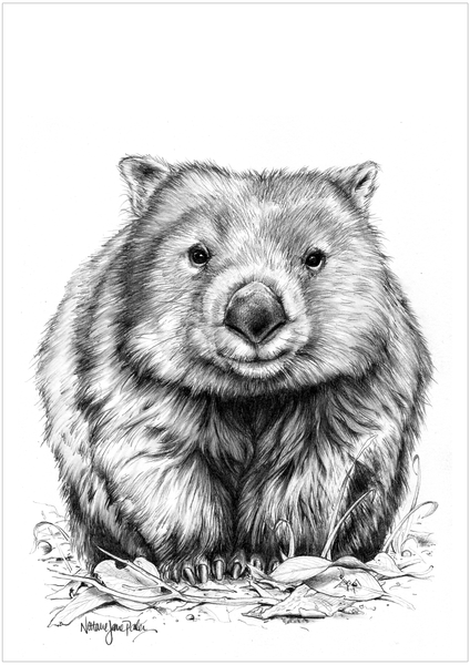 Wombat Art Print | "One Little Wombat" by Natalie Jane Parker