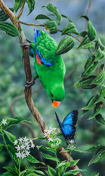 Male Eclectus Parrot (Eclectus roratus) and Ulysses Butterfly (papilio ulysses) with green ants Australian Wildlife Art by Natalie Jane Parker