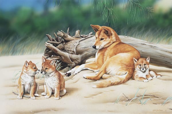 Dingo (Canis familiaris) with pups Australian Wildlife Art by Natalie Jane Parker