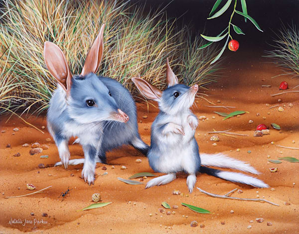 Greater Bilbys (Macrotis lagotis) Australian Wildlife Art by Natalie Jane Parker