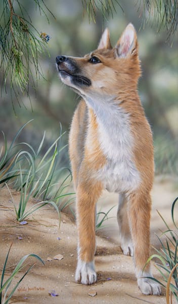 Dingo (Canis familiaris) and Common Blue-banded Bee (Amegilla cingulata) Australian Wildlife Art by Natalie Jane Parker