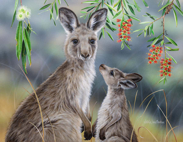 Eastern Grey Kangaroo (Macropus giganteus) with joey Australian Wildlife Art by Natalie Jane Parker