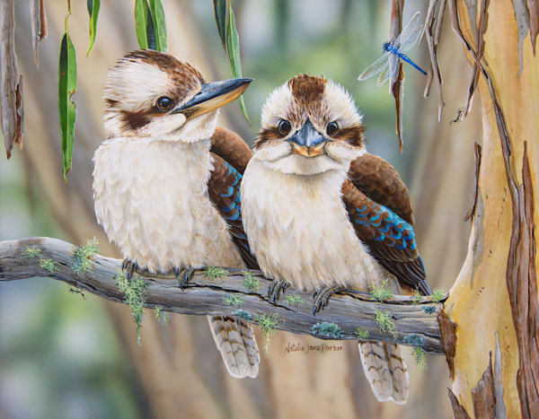 "Life Among the Gum Trees" - Laughing Kookaburra Art Print | Natalie Jane Parker