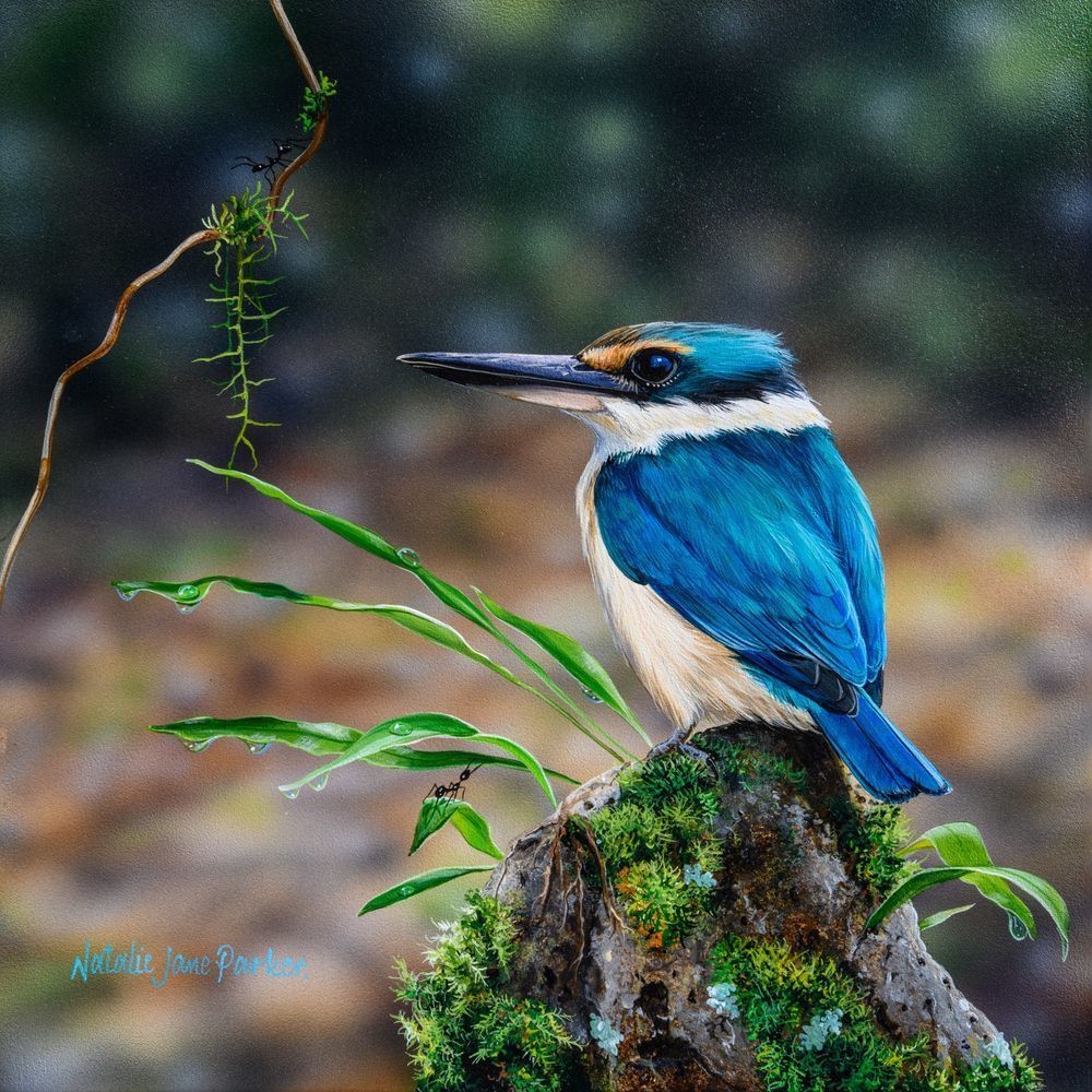 Sacred Kingfisher (Todiramphus sanctus) Australian Wildlife Art by Natalie Jane Parker