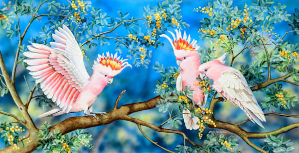 Pink Cockatoo (Lophochroa leadbeateri) Australian Wildlife Art by Natalie Jane Parker | Major Mitchell’s cockatoo or Leadbeaters cockatoo 