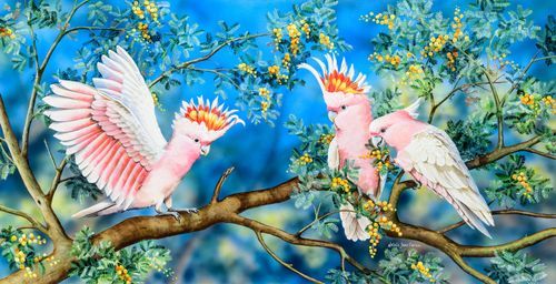 Mdawmdawmdawmdaw7qgraepd6cacehr zcfbfywxu2fyveayeunrgwctqqqltnerwweter6yomfiojy24adow ljj7f22f2vd2s3k0fn 38ezqodftc2xeuhdjufahdziomokxodj3hs jg da6ji5eudq olwagpj5emn5dxlgzpoopvhcvyx9j1ddvby9ri emqnhauvooqess3nk5zrttdeoj 7i6qbqwltjpg kxcpppzrvy8rvib cpqcruusfsibfyf4cleqhh153map0qdzsu8ginzif8ekxscqiw5xjwhos21gn5dv3x3e0 
