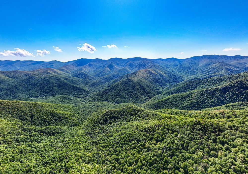 Endless Green Ridges Photography Art | Stan Sutrich Photography