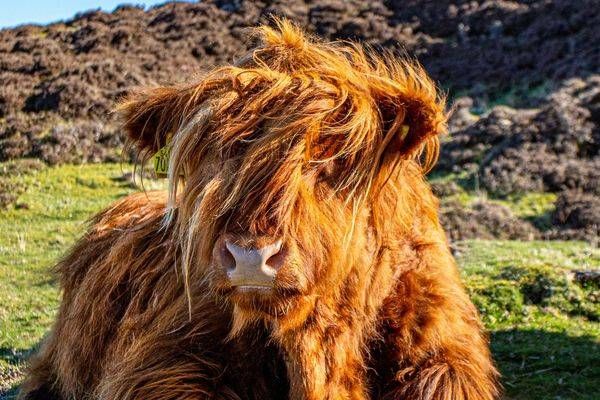 Highland Majesty Photography Art | Stan Sutrich Photography