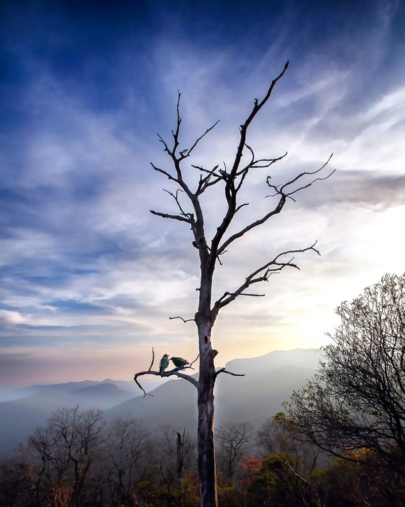 2 Ravens Photography Art | Stan Sutrich Photography