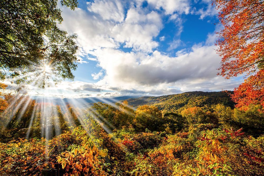 A Split Between The Fall Colors Photography Art | Stan Sutrich Photography