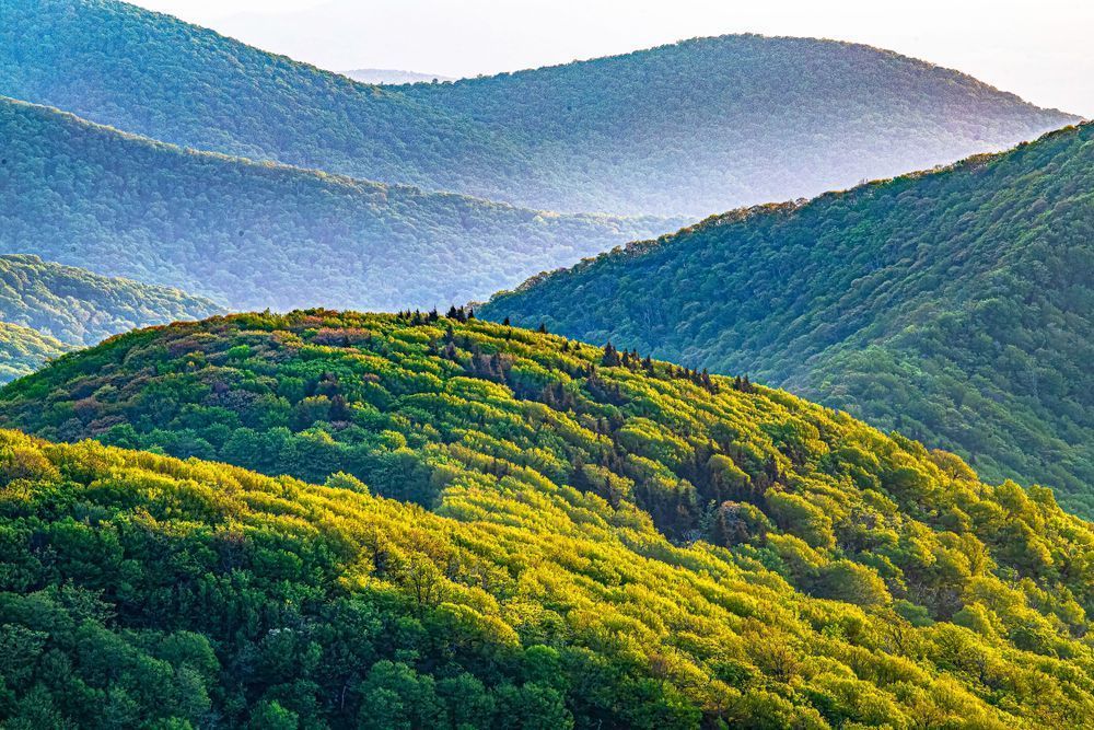 Mist In The Folds Photography Art | Stan Sutrich Photography