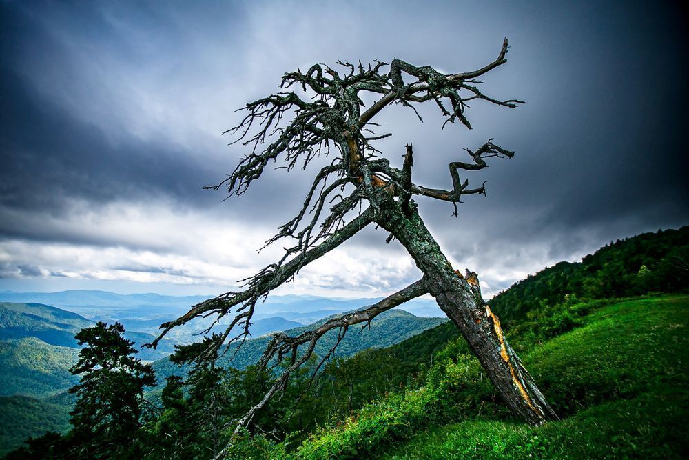 Clinging After A Strike Photography Art | Stan Sutrich Photography