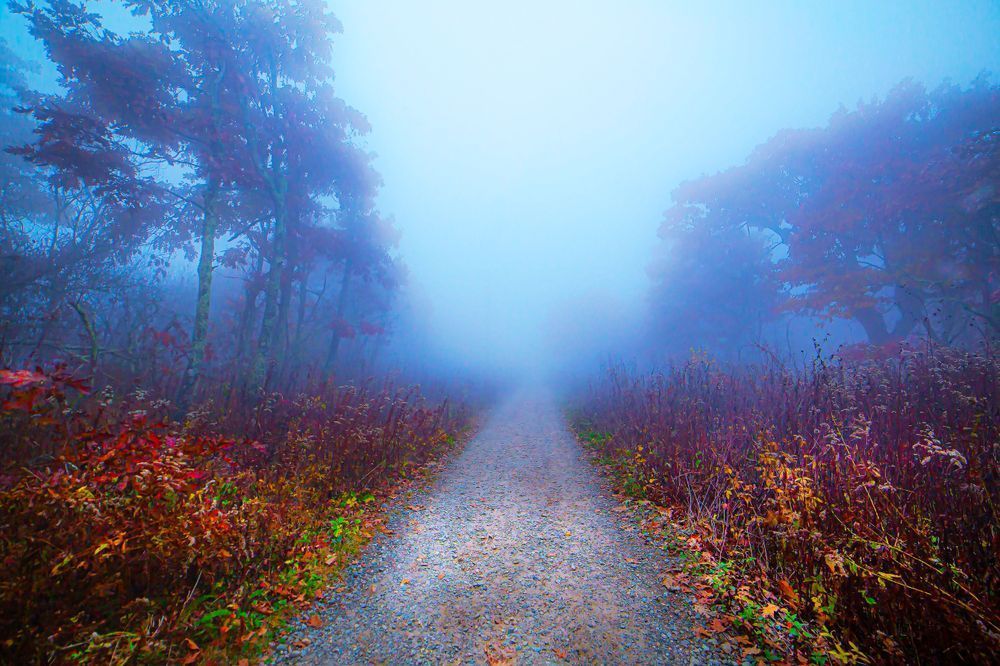 Into The Mist Photography Art | Stan Sutrich Photography