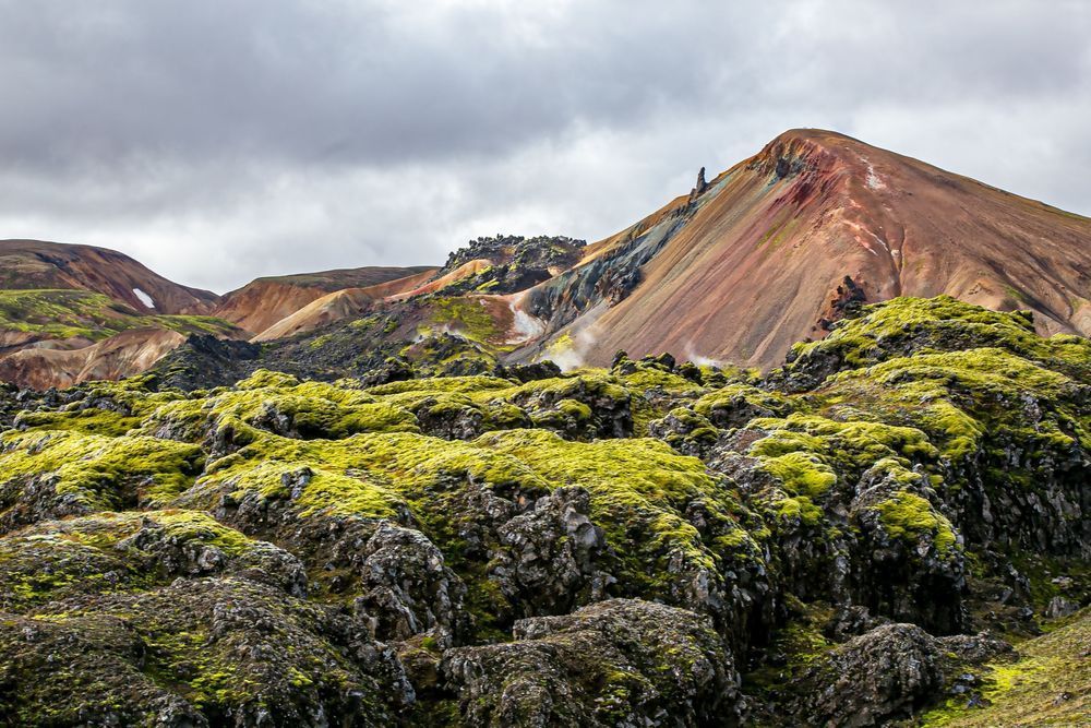From Moss To Sand Photography Art | Stan Sutrich Photography