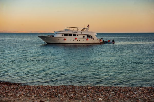 Boats