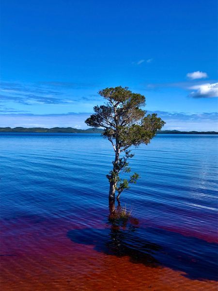 Water