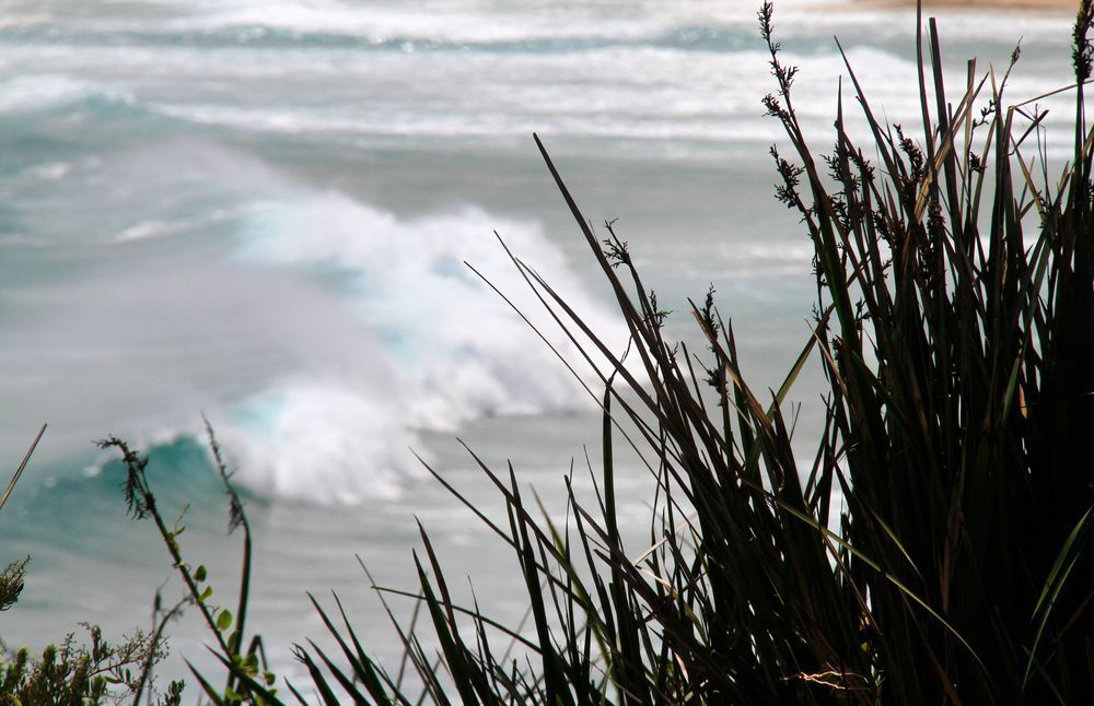 Beach Break Through The Grasses   Augusta Photography Art | Images by Simon