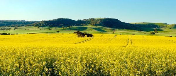 Landscapes-