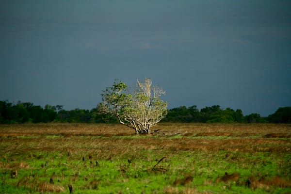 Arnham Land - Ramingining 1