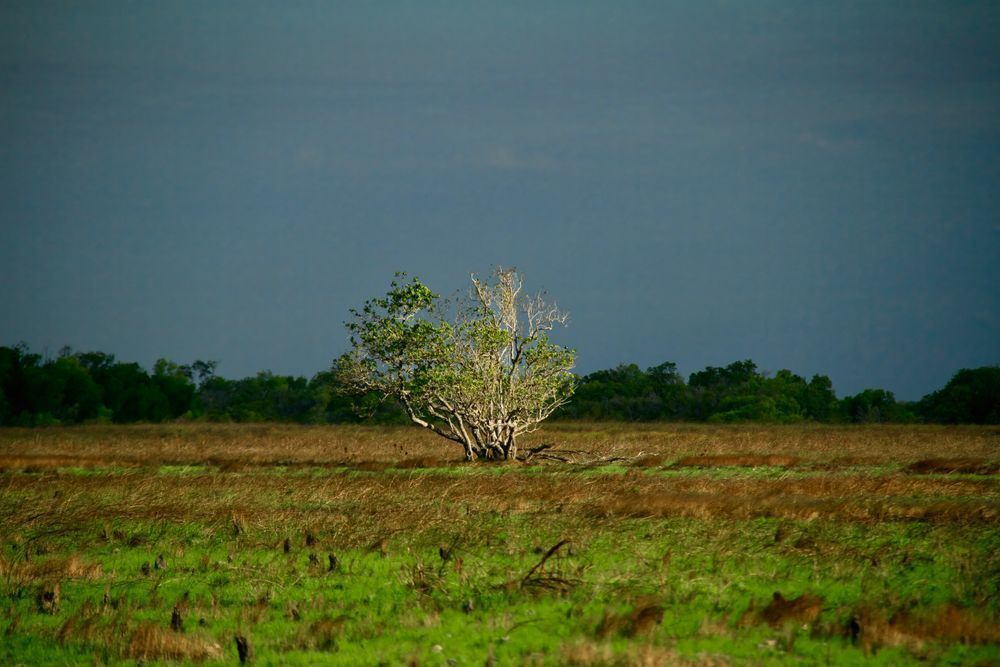 Arnham Land   Ramingining 1 Photography Art | Images by Simon