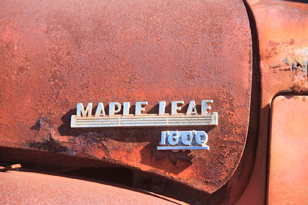 Maple Leaf 1600
