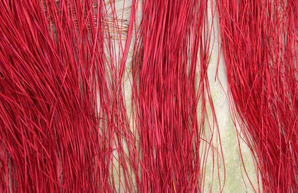 Red cane