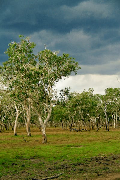 Ramingining Wetlands