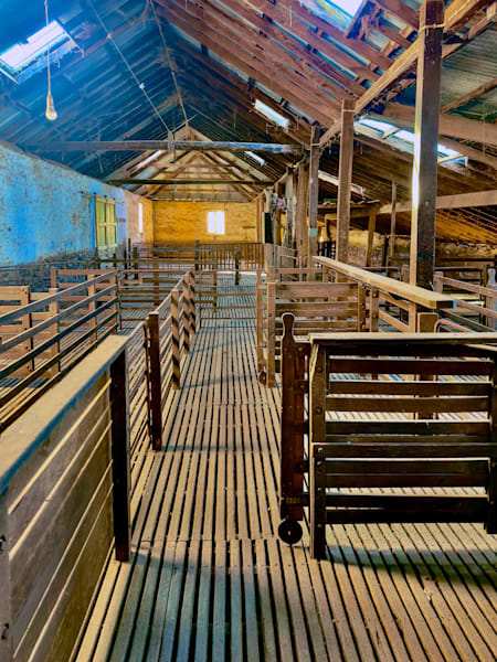 Shearing Shed - Ryelands Clare South Australia 2