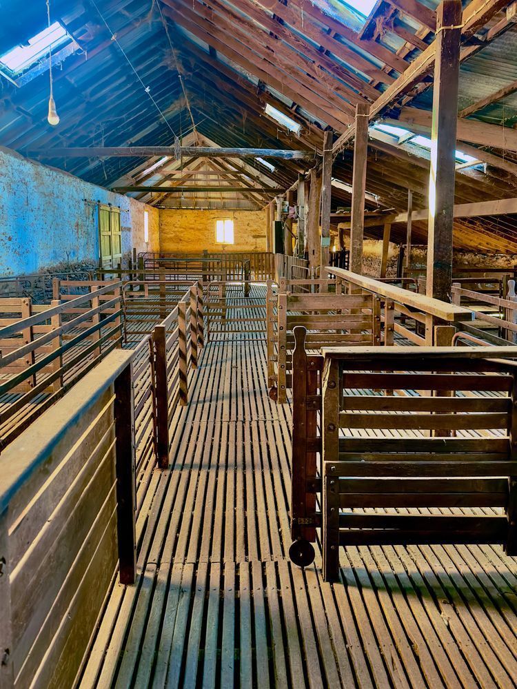 Shearing Shed   Ryelands Clare South Australia 2 Photography Art | Images by Simon