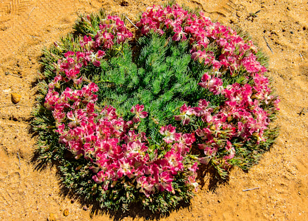 Wreath Flower