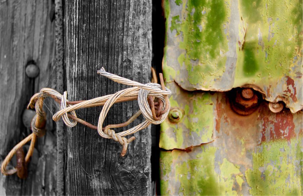 Wired Photography Art | Images by Simon