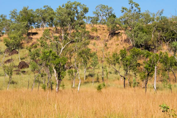 Theda Station - Kimberley