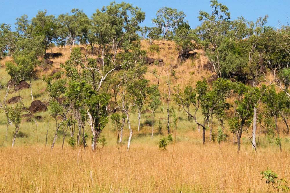 Theda Station   Kimberley Photography Art | Images by Simon