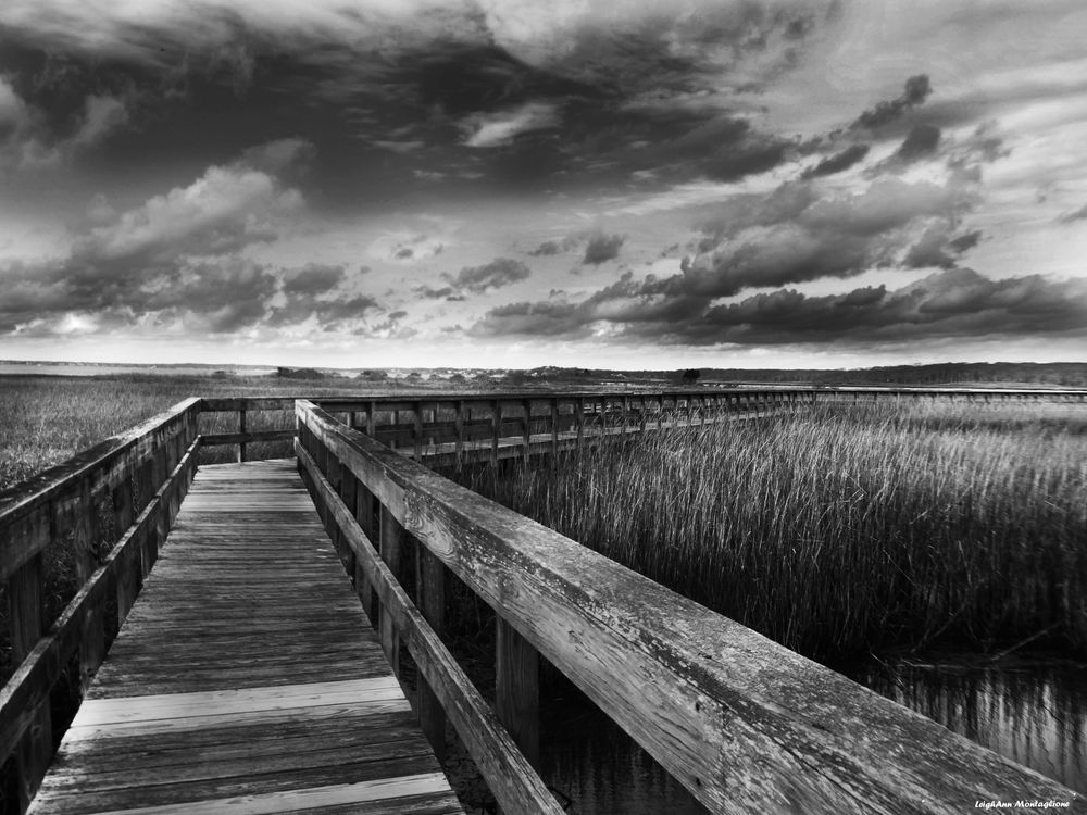 Boardwalk Memories Photography Art | LAM Images