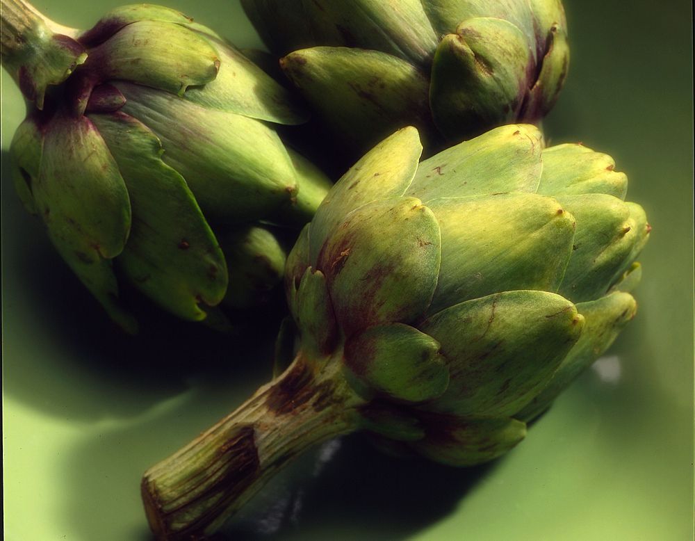 Artichoke. Photography Art | LAM Images