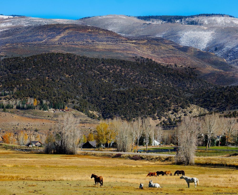 Colorado Guest Ranch Retreat | Scenic Mountain Getaway