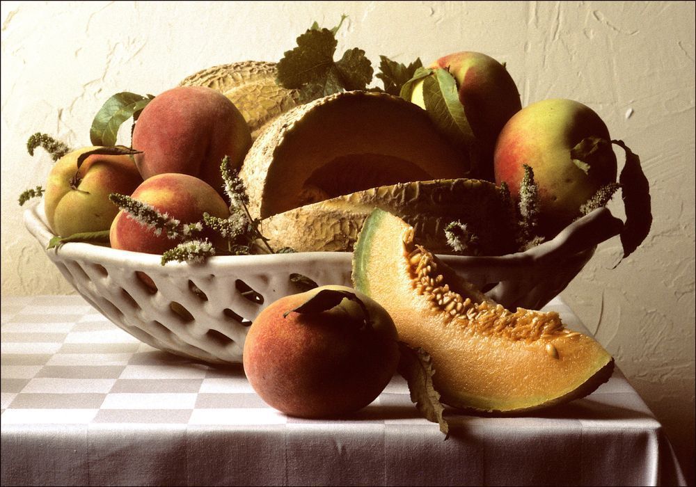 Melon Photography Art | LAM Images