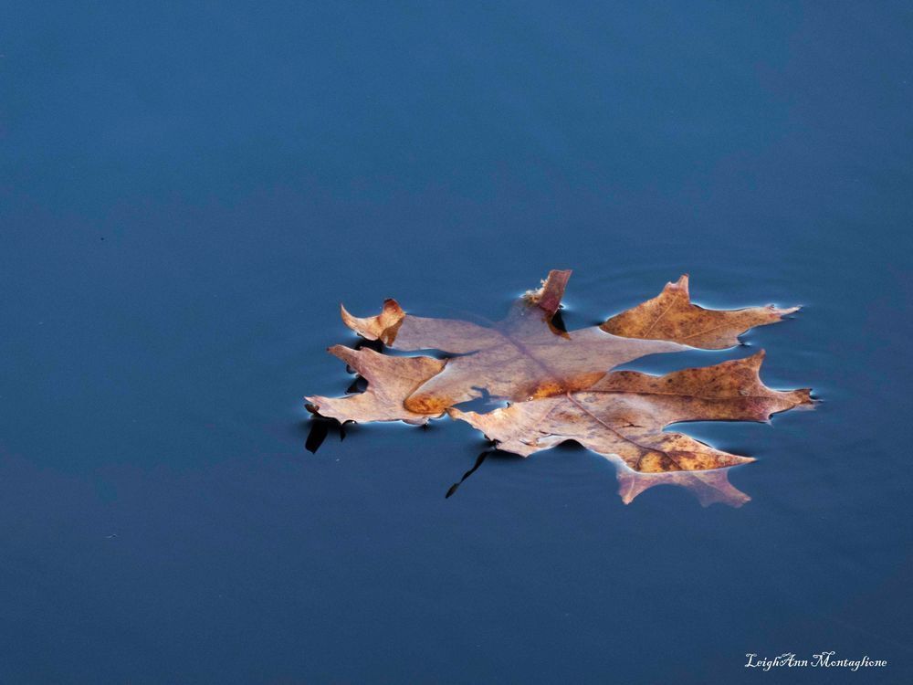 Rest Photography Art | LAM Images