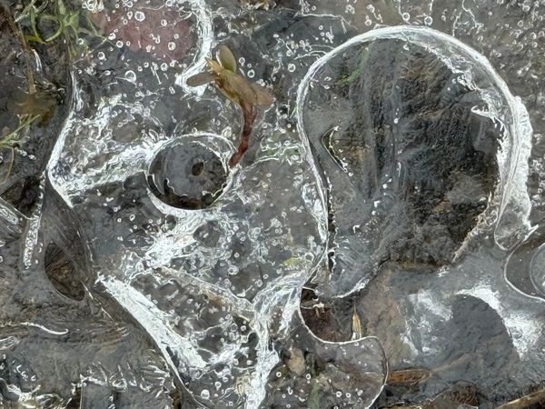 Abstracts